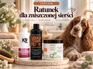 Zestaw STANDARD - Ratunek dla zniszczonej sierści (2x200ml + 250ml)