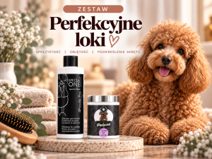 Zestaw MINI - Perfekcyjne loki! (2x100ml)